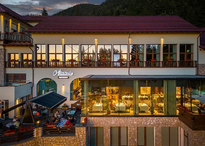 Ana Hotels Sport Poiana Brasov