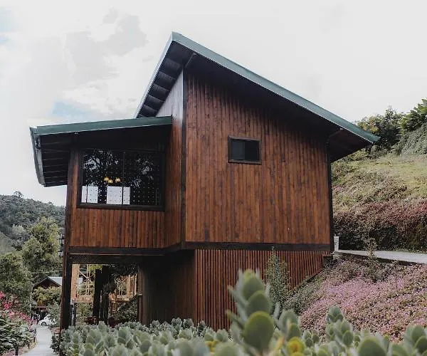 Lauraceas Lodge