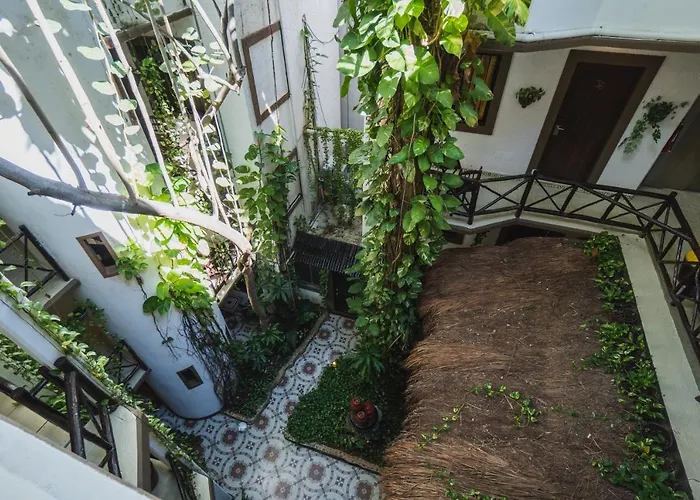 Posada Mariposa Boutique Hotel - 5Th Avenue
