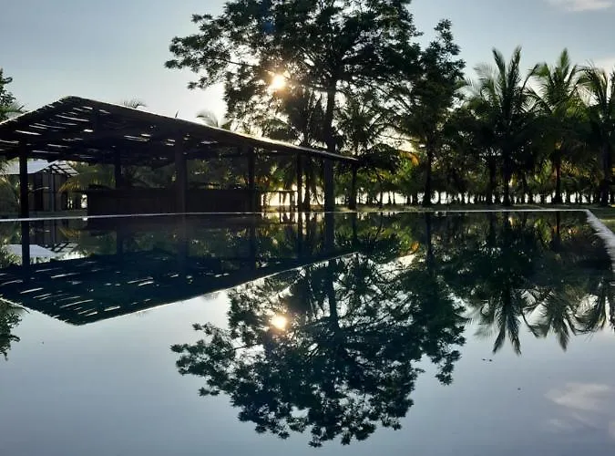 Hibiscus Garden