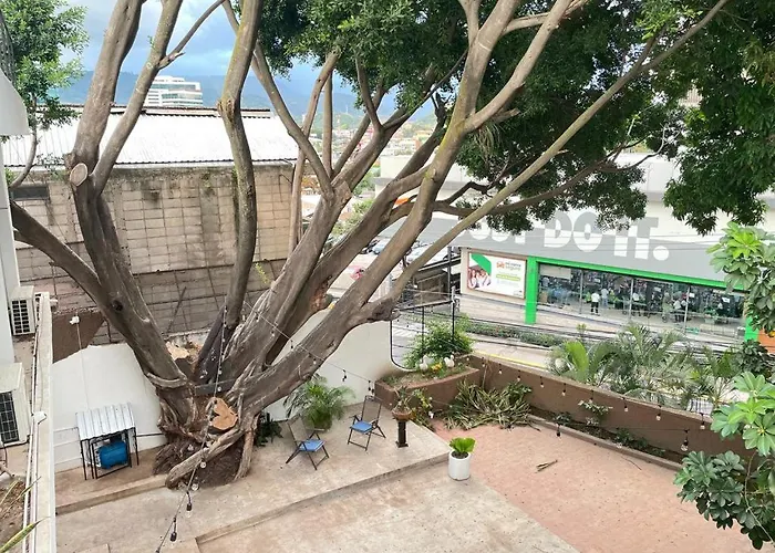 Casa Lomas