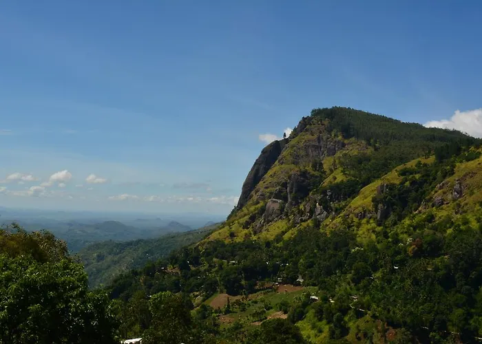 Ella Ridge View