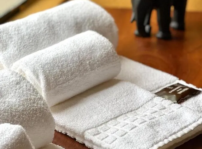 Wakanda Hotel