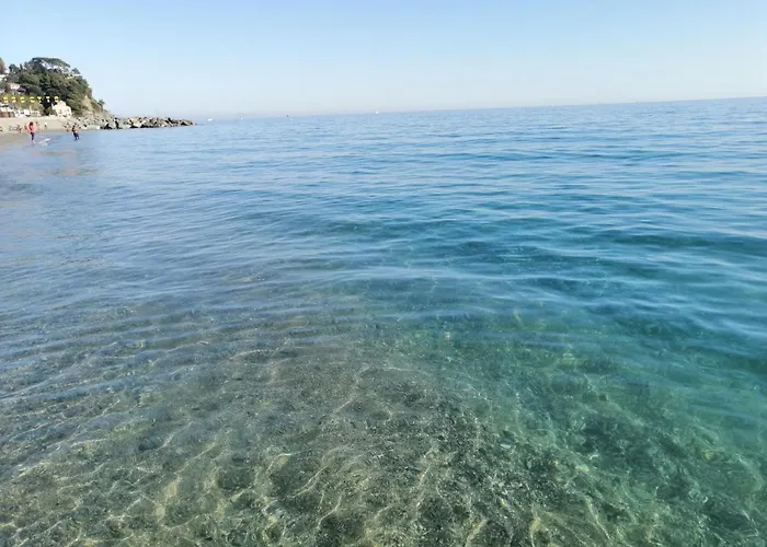 Albergo blue fish
