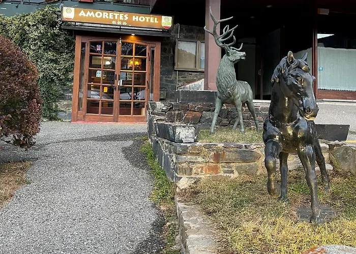 Hotel Amoretes