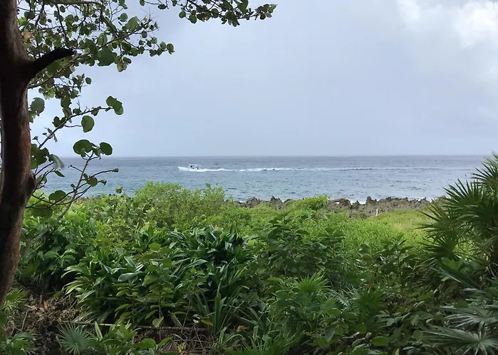 Cocolobo Resort