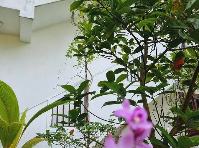 Sandil Surf House
