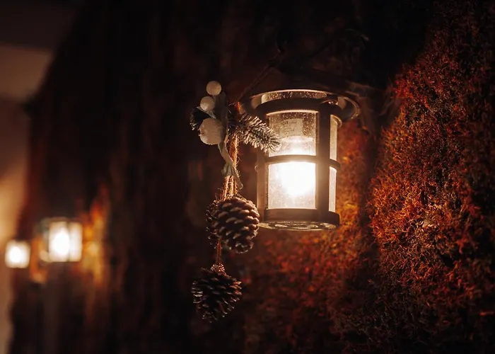 Tree Hotel
