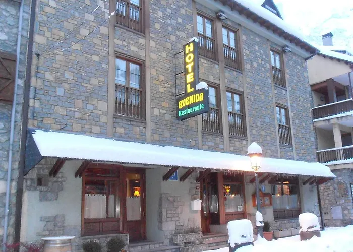 Hotel Avenida Benasque