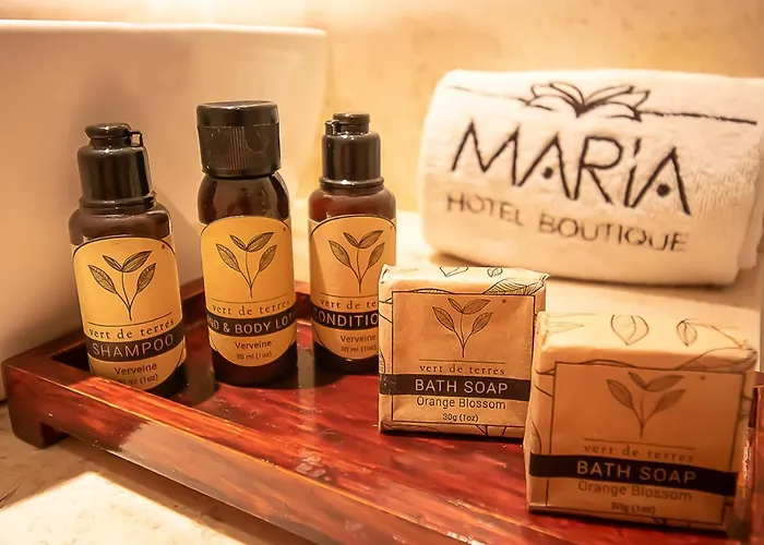 Hotel Boutique Maria