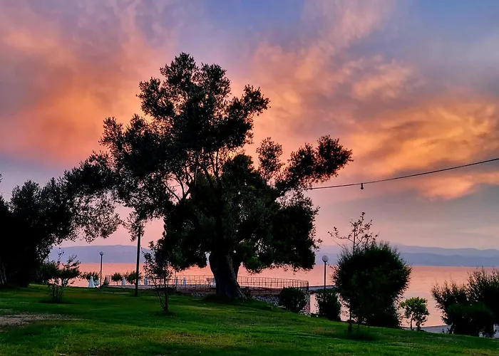 Holidays In Evia Beach Hotel (Adults Only)