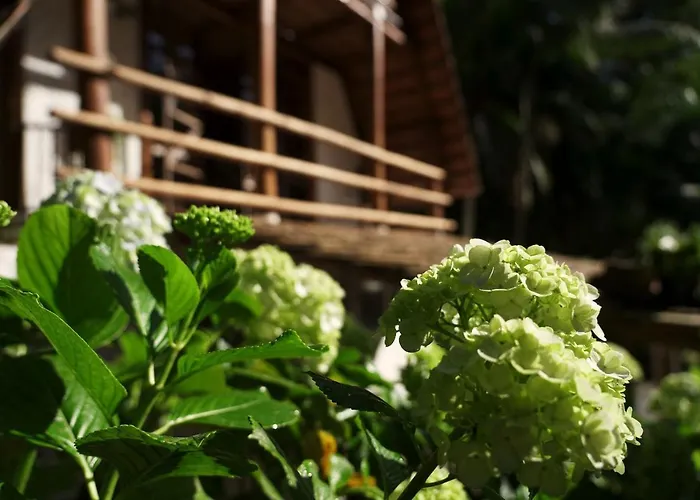 Sítio Urbano a apenas 1,5 km do centro Hotel Blumenau
