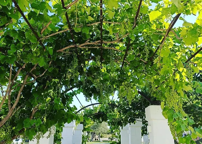 Masseria Almadava Polignano a Mare