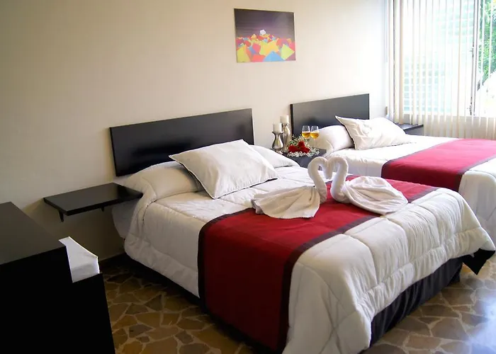 G y V Hotels