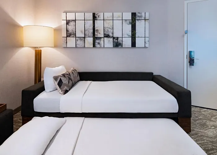 Springhill Suites By Marriott Austin North
