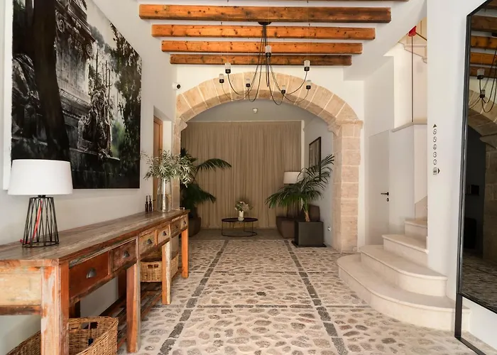 Can Veri Suites
