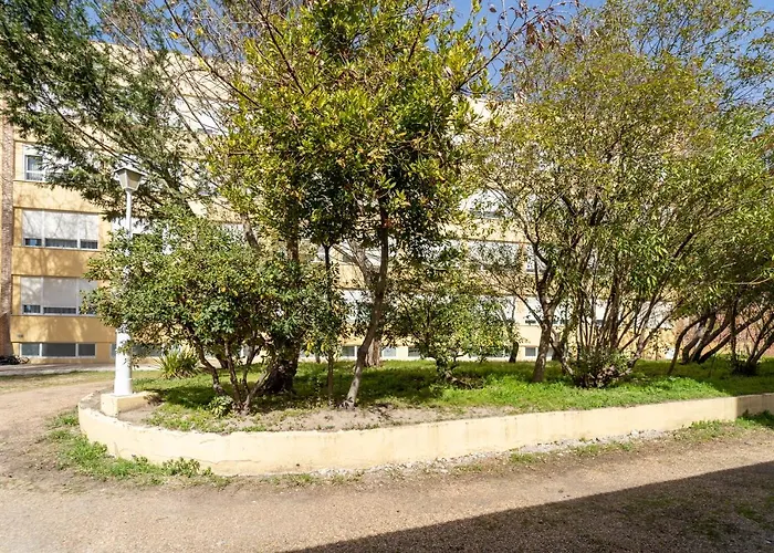 Hotel La Mota By Punta25 Hotels Group