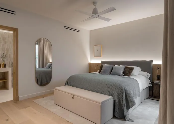 Can Veri Suites