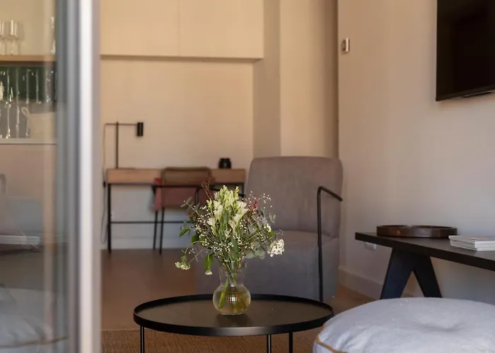 Can Veri Suites
