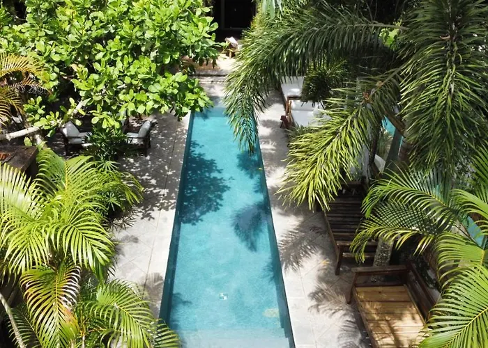 Monkey Casa Hotel