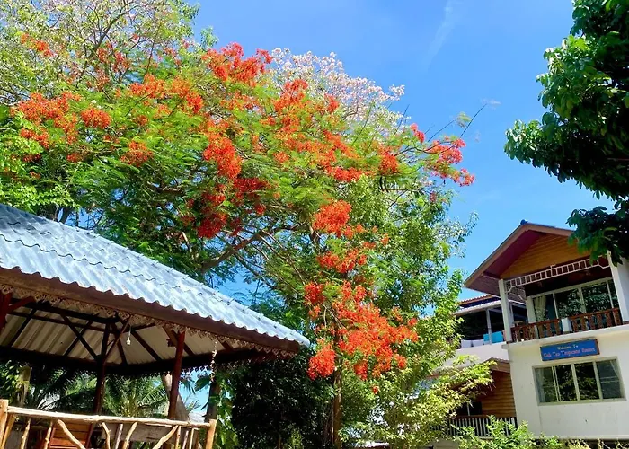 Koh Tao Tropicana Resort