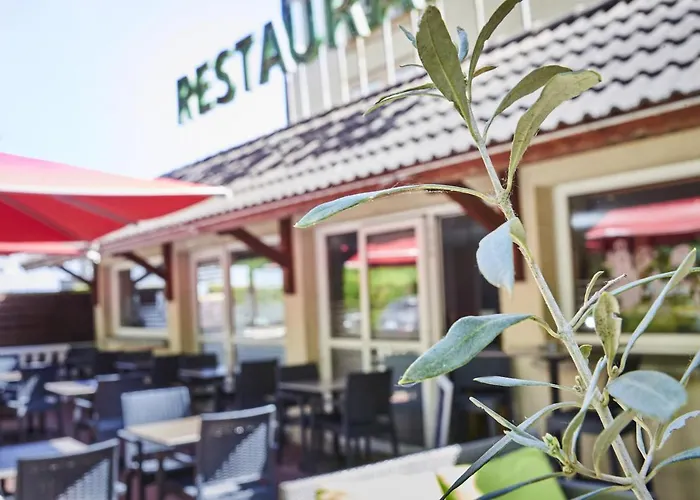 Logis Hotel Restaurant Bagatelle - 51530 Dizy
