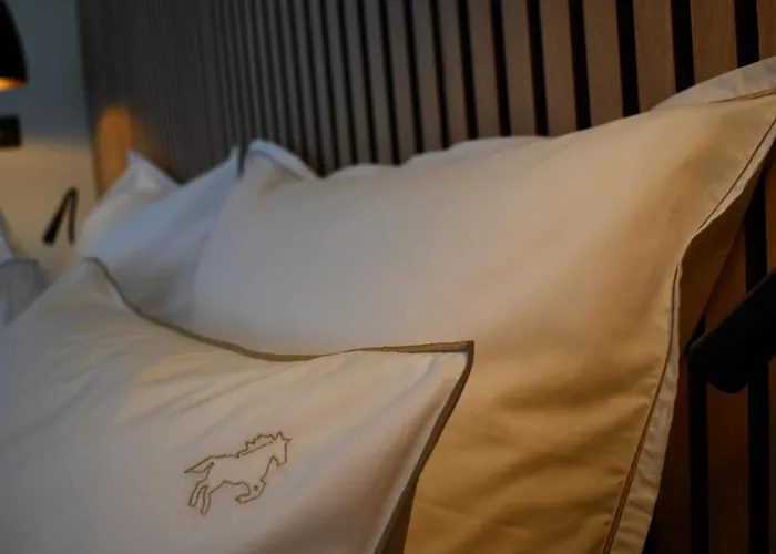 Le Cheval Blanc - Logis Hotel