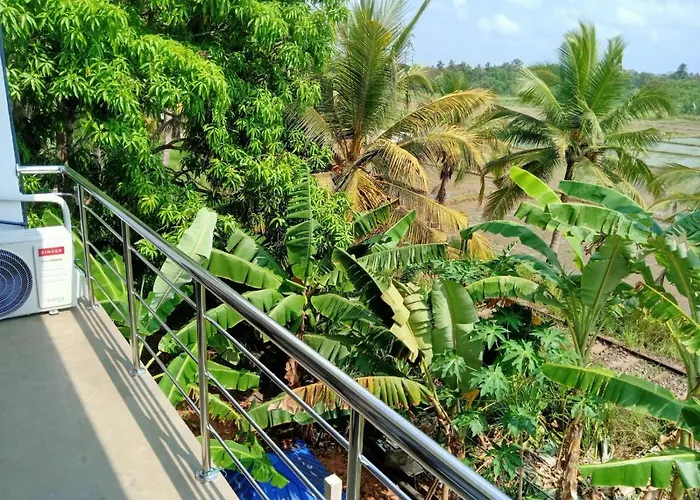 Freedom Of Green Rice View
