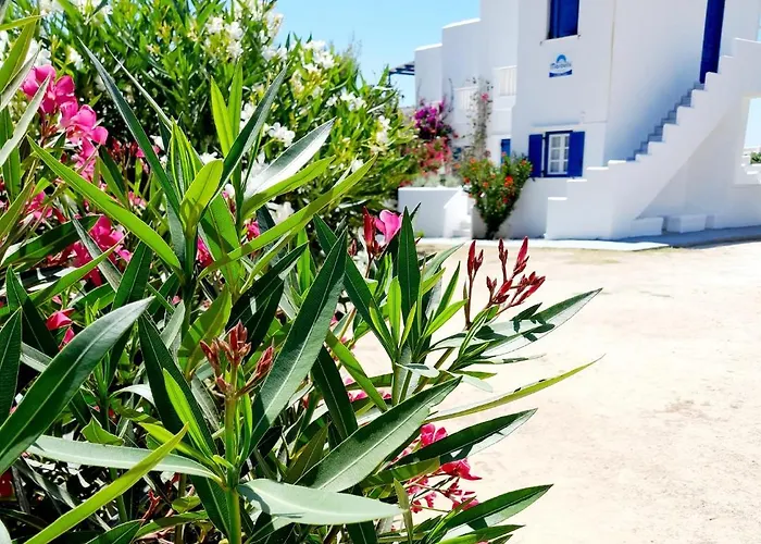 Maroulis Studios