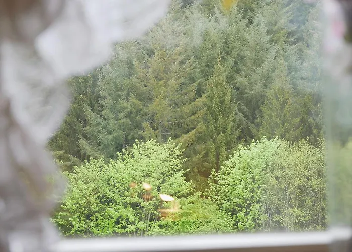 Seebach-Hotel