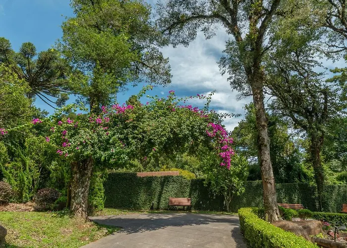 Hotel Monte Felice Bosque