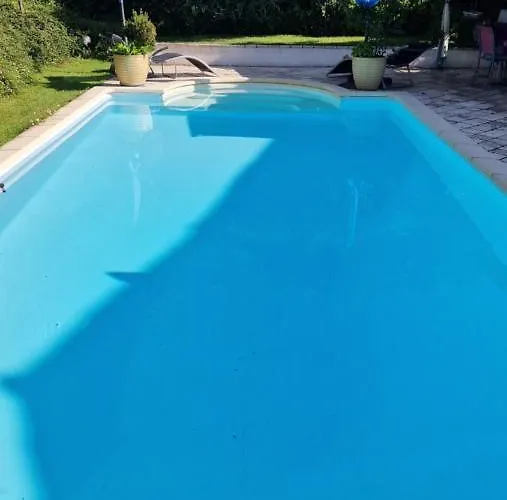 Le MAS du Sud Draguignan