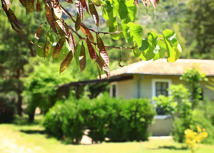 Eski Yeni Tatil Evi Olympos