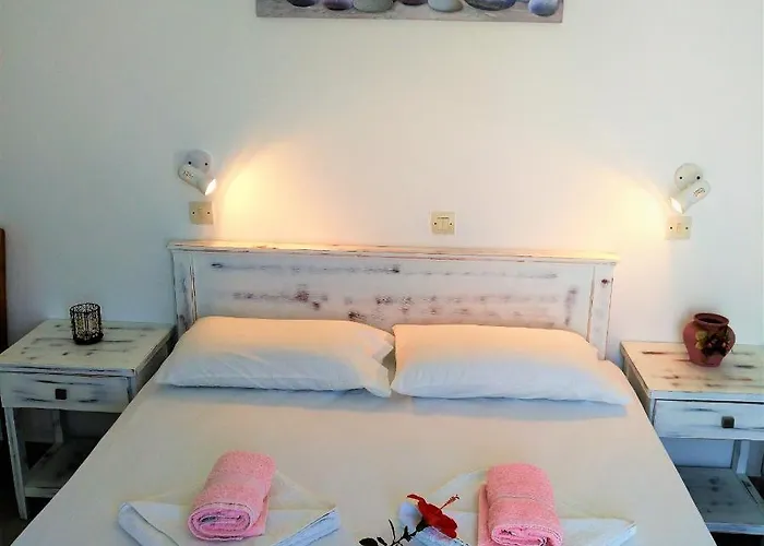 Dolphin Rooms