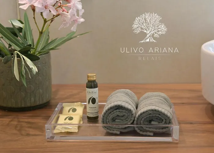 Relais Ulivo Ariana
