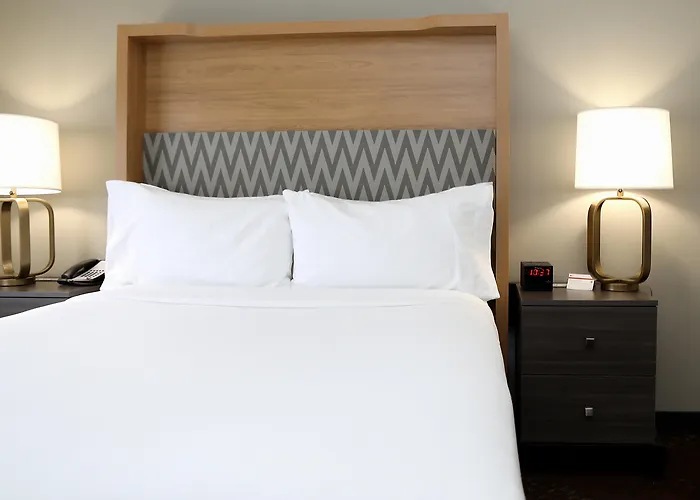 Holiday Inn O'Hare Area By Ihg