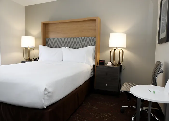 Holiday Inn O'Hare Area By Ihg