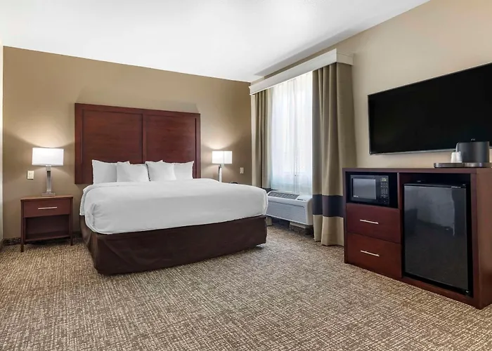 Comfort Suites Plano - Dallas North