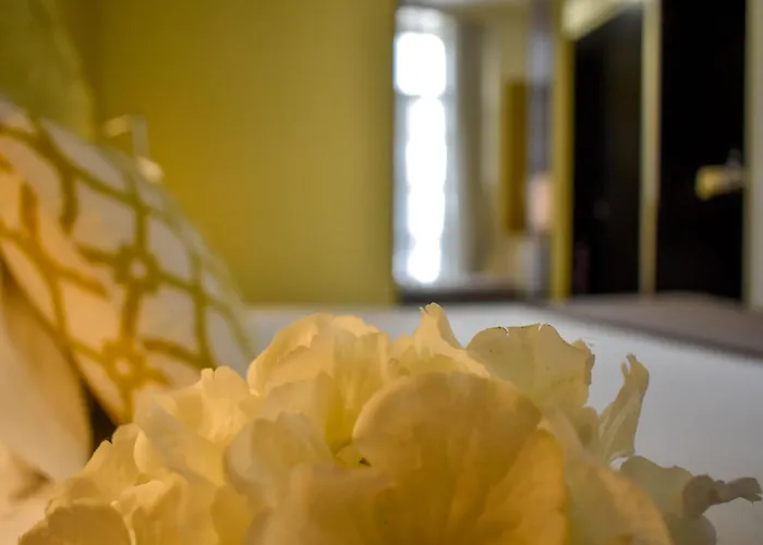 Universal Boutique Hotel Figueira da Foz