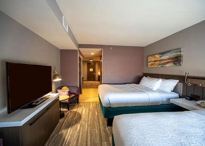 Hilton Garden Inn Rapid City