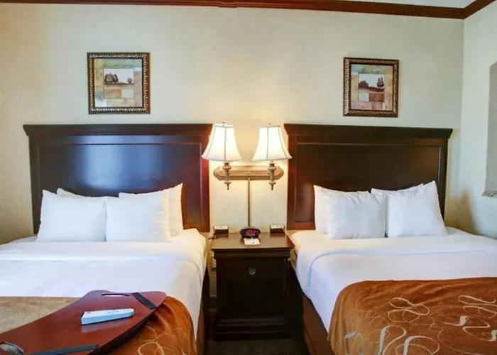 Comfort Suites University Drive