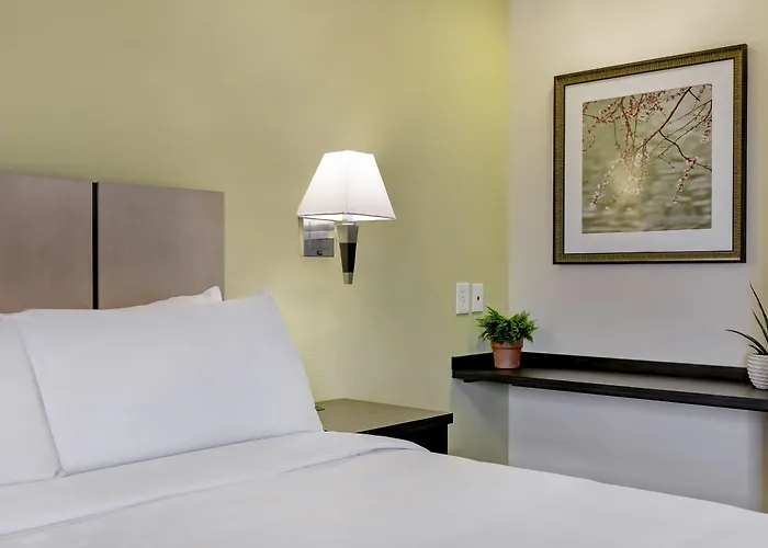 Candlewood Suites Indianapolis - South By Ihg