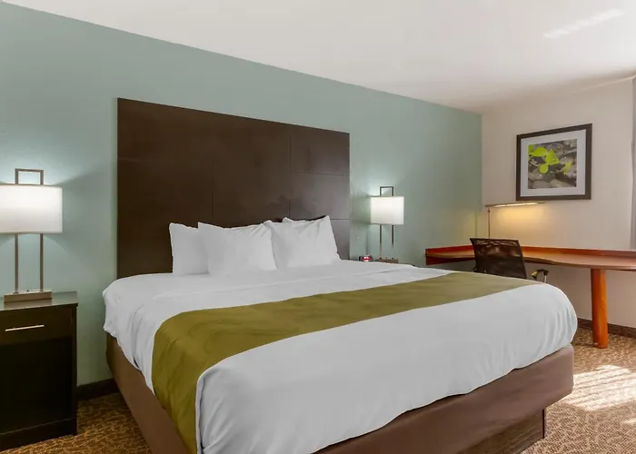 Quality Inn Alexis Rd Toledo