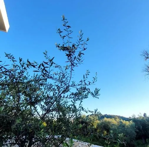 Sweet Home Himara