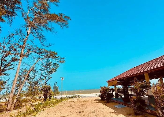 24 Gold Homestay