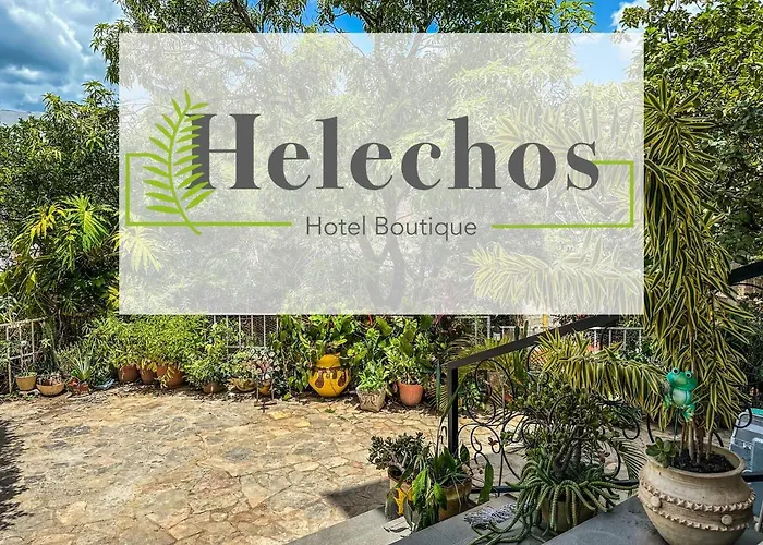 Helechos Hotel