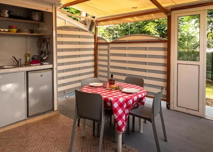 Ti Colibri