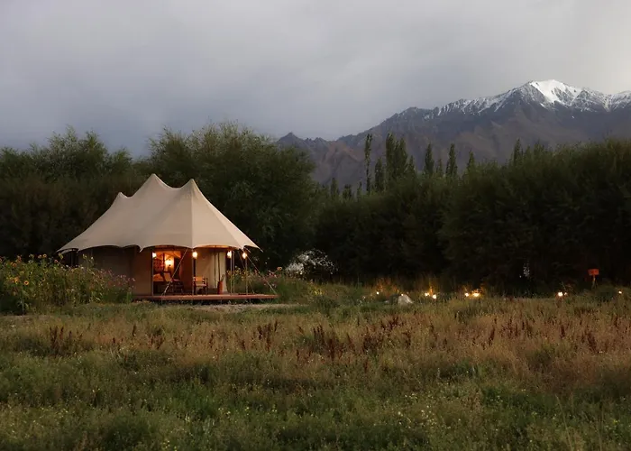 Chamba Camp Thiksey