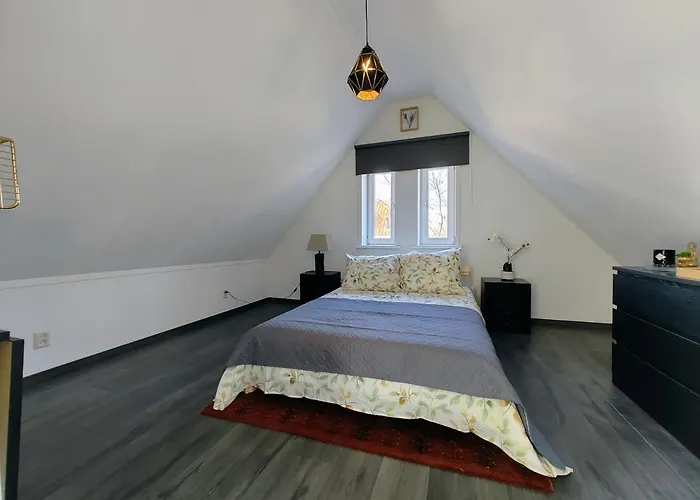 The Diesel Bed And Breakfast Rotterdam