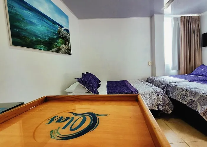 Hotel Olas